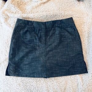 Classic Blue/Gray Women's Skirt